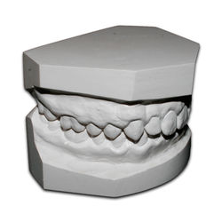 Private-study-model-side_1